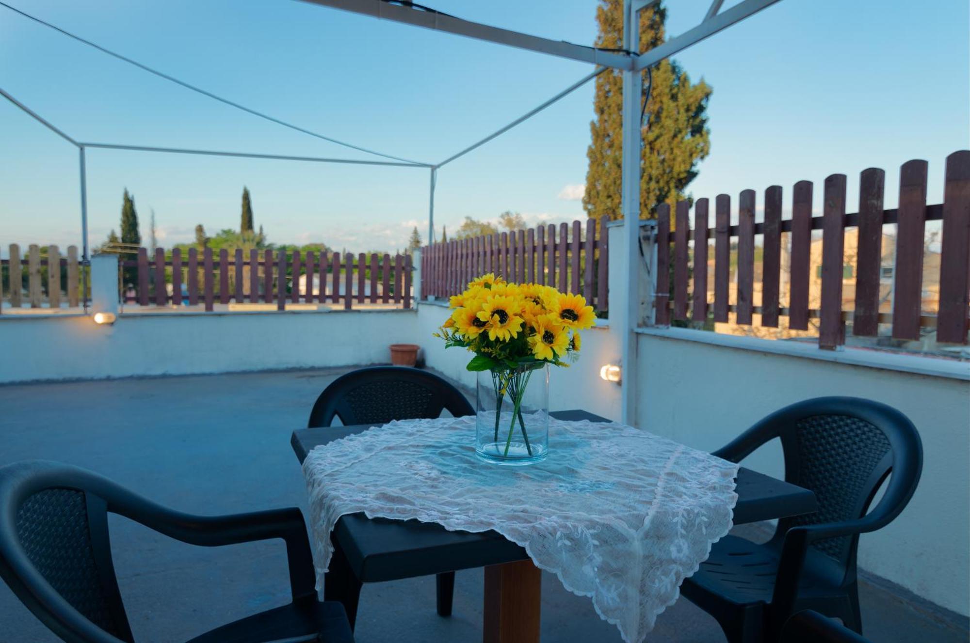 “pioula's Cozy House” Appartement *
